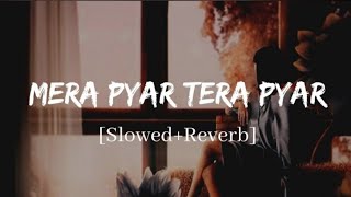 Mera Pyar Tera Pyar Song ❤️  SlowedReverb Song  Arijit Shingh  Waysh Al Karoni [upl. by Jerusalem990]