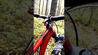 Fuji Outland 29 2016 custom 2024 mtb bike bicycle mountainbike [upl. by Asirahc]