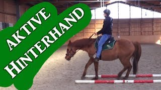 LetsRide Hinterhand aktivieren  ganz einfach Westernreiten  Serenity Horses [upl. by Alba]