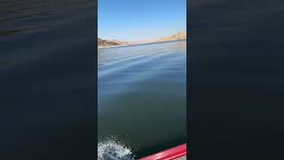 Bass Fishing  Lake Kaweah bassfishing 559 bassboat Ninernutkid49 [upl. by Massab]