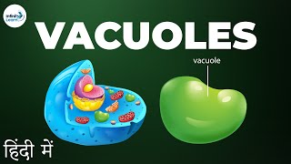 Cells  Lesson 13  Vacuoles  in Hindi हिंदी में   Infinity Learn [upl. by Brottman969]