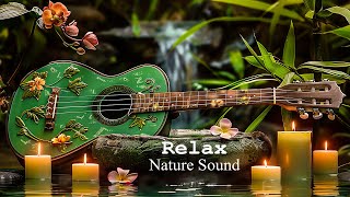 Relaxing Piano Music  Insomnia and Healing 🌿 Relaxing Music Sleep Music Meditation Nature Sound [upl. by Wilmette]