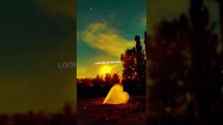 Tell me Pretty Lies  Blackbear idfc Lyrics Whatsapp Status  Lyrics Video Status  Canorous u [upl. by Johnette274]