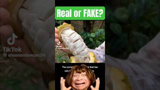 Life Hacks Are these Viral Hacks REAL or FAKE shorts [upl. by Allx951]