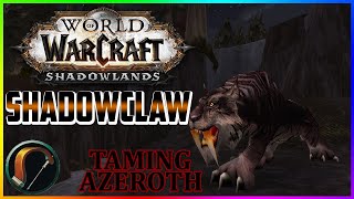 Shadowclaw  Taming Azeroth Episode 30 [upl. by Nyvets]