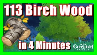 113 Birch Wood In 4 Minutes  Material Farm  Genshin Impact  How to Farm [upl. by Nevah722]