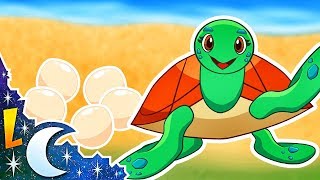 La Tortuguita María  Canciones Infantiles  Lunacreciente [upl. by Neelloj645]