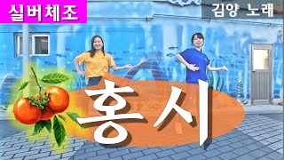 실버체조홍시김양 노래 아리울교육 치매예방 주야간보호센터요양원 [upl. by Aroel849]