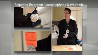 Making an Emergent NorepinephrineLevophedDrip [upl. by Libbi884]