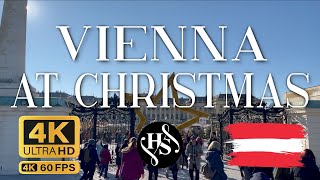 🎄 Vienna Christmas Market 2024 🇦🇹  Explore the Magical Holiday Wonderland [upl. by Sidnak]