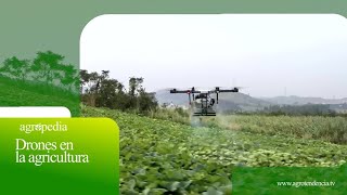 Drones en la agricultura 🛩️ Agro en 2 minutos [upl. by Terrena]