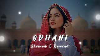 ODHANI OD KE NACHU  ODHANI  SLOWED REVERB  2024 SONG💕💕💕💕💕💕 [upl. by Ahsit]