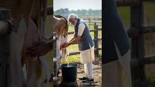 When Narendra Modi gets milk from Cows Narendra modi in farming ai funny funnyclip [upl. by Bish]