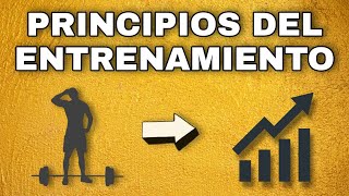 PRINCIPIOS BÁSICOS del ENTRENAMIENTO que todo INICIANTE debe CONOCER PARTE 1 [upl. by Oni780]