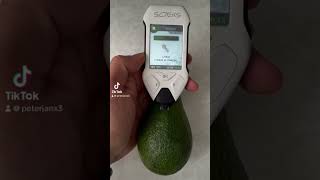 azotany avocado pestycydy nitrates soeks pomiar nitrates awokado [upl. by Binny]