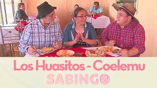 Los Huasitos encontraron el mejor charquicán de cochayuyo en Coelemu  Sabingo [upl. by Norb616]