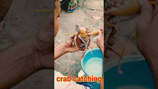 Crab catching video shorts crab fishing [upl. by Amara935]