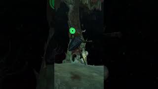 How to enter the korok forest in Zelda Tears Of The Kingdom totk tearsofthekingdom zelda [upl. by Wilinski]