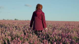 Field Of Sainfoin [upl. by Slack]