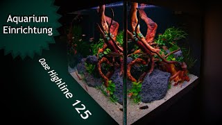 Aquarium Einrichtung  Wir scapen Toms Oase Highline 125  JR Aquascaping [upl. by Web]