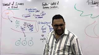 Endocrine physiology 2 القصر العيني [upl. by Samale]