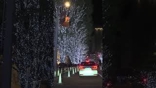 Tokyo Night Drive  roppongi keyakizaka illumination [upl. by Ahsikcin]