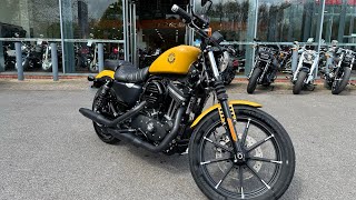 HarleyDavidson XL 883 N Iron 19 Gold walkaround with engine sound for sale [upl. by Timofei]