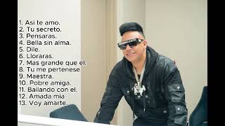 Elvis Martinez mix  sus mejores exitos musicales [upl. by Gnot557]