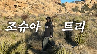 미국 조슈아트리 국립공원 여행 vlog  캠프파이어 🔥 별보기 🌠 바베큐 🍖 [upl. by Euphemiah]