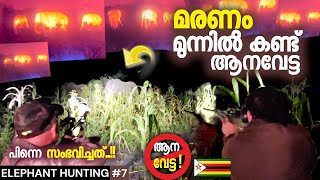 EP7 മുന്നിൽ ആന  വെടി വെക്കാൻ ഉള്ള കഷ്ടപ്പാട് 🔥🌓 travel zimbabwe [upl. by Jasik]