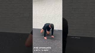 Ankle Weights Workout  JLL Fitness [upl. by Dareg957]