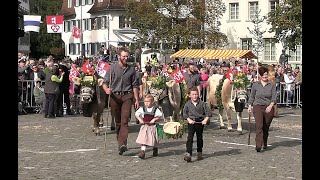 Älperchilbi Stans 2024  Säntä Veh Familie Lussi Rochushostatt [upl. by Salisbury]