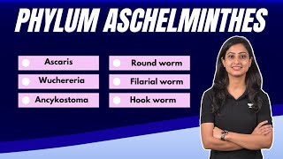 Phylum Aschelminthes  All examples  Learn in no time  Flash Learn [upl. by Enial316]