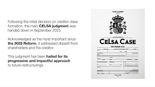 The Celsa Group Story Crucial aspects of the judgment [upl. by Deana723]