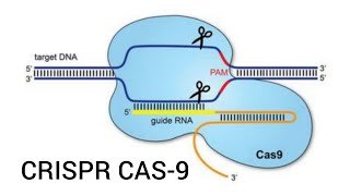 CRISPRCas9 Technology  Mechanism explained [upl. by Beard656]