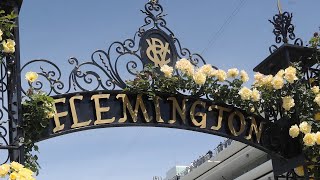 Melbourne Cup takes over Flemington Racecourse [upl. by Ikiv]