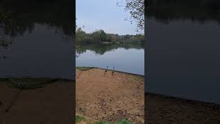 24 hours targeting carp on a big gravel pit carp fishing carpfishing [upl. by Adlih]