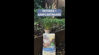 Oktober  aanplantmaand Dit is waarom je deze maand nog planten toe kan voegen aan je tuin [upl. by Amliv]