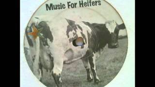 All Saints  Pure Shores Music For Heifers Bootleg [upl. by Ylahtan541]