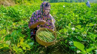 Beautiful Village Food Harvest Red Ripper Peas Cowpea Mix Chicken Curry  Mali Cooking in nature [upl. by Hanae728]