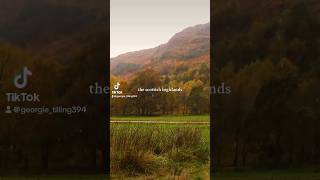 the scottish highlands during autumn 🍂 scotland scottishhighlands peaceful countryside fyp [upl. by Acisej617]