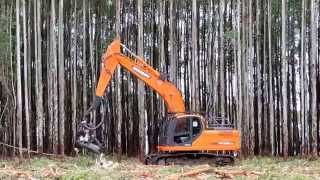 Harvesting Head Logset on Doosan and SDLG Excavator [upl. by Modesta]