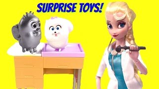 Doctor Elsa Surprise Show Secret Life of Pets [upl. by Rudolph]