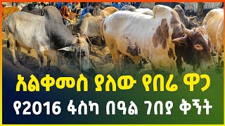 አልቀመስ ያለው የበሬ ዋጋ  የ2016 የፋስካ በዓል ገበያ ቅኝት  Easter holiday market  Gebeya media  Ethiopia [upl. by Laspisa]