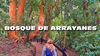 BOSQUE de ARRAYANES 😍 VILLA la ANGOSTURA 🙌 [upl. by Kaltman408]