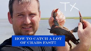 How to Catch and Clean Blue Crabs Galveston Texas [upl. by Maitilde]