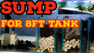 How To Make Sump Filter For Aquarium  Easy Guide On Aquarium Sump Filtration  DIY Sump Filter [upl. by Rani148]