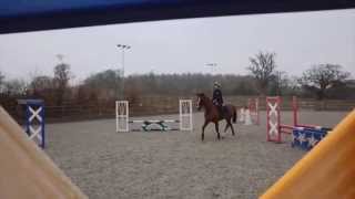 Study Equine at Bicton College Devon [upl. by Emirac392]