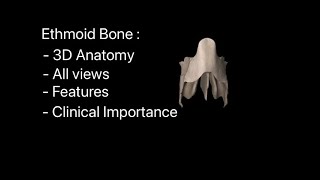 Ethmoid bone anatomy 3D animation view features 3D model demage broken ethmoid bone characters [upl. by Ruffi]