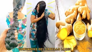 BENEFICIOS Y PROPIEDADES DEL JENGIBRE ¡¡4 IDEAS PARA EL CABELLO [upl. by Annaiuq]